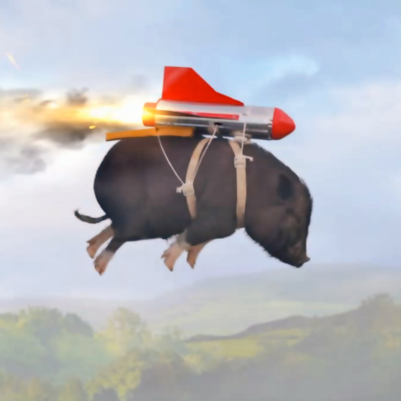 Летающая свинка. Царь бомба Мем украинский Бимба. Летающая свинья. Летающий кабан.